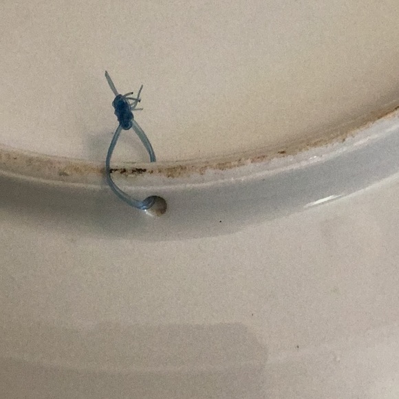 Limoges decorative plate - Picture 3 of 4